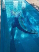 mosaik pool blue 4
