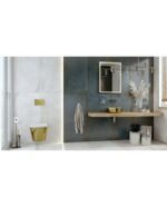 wall hung wc sofi slim brushed gold 2
