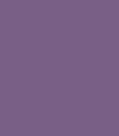 violeta m555 m10x20 hd