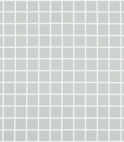 909 matt light grey