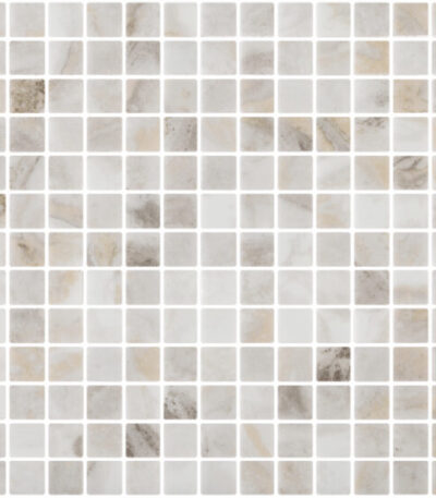 CAPR25AY 550x550 1