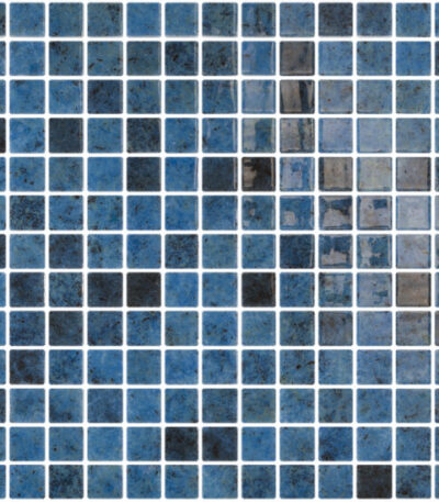 OCEA25Y 550x550 1