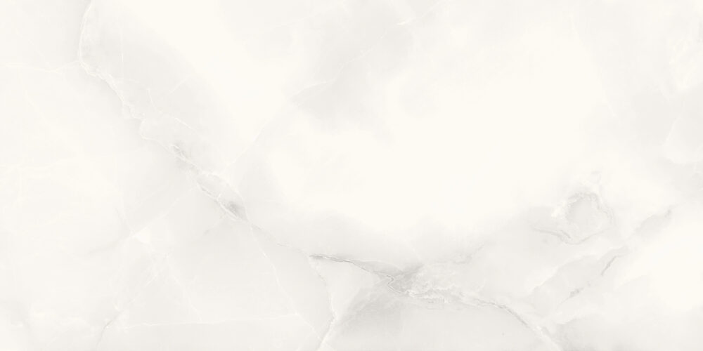 TGGP1004367928 NOCI WHITE POLISH RECT 60X120 C 72DPI