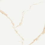TGGP1004645001 ELEGANTE SKY GOLD POLISHED 60X60 B 72DPI