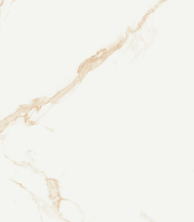 TGGP1004645001 ELEGANTE SKY GOLD POLISHED 60X60 C 72DPI
