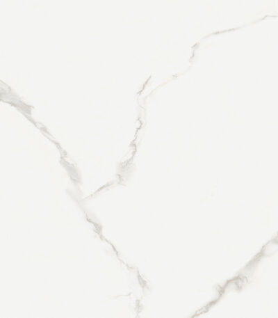 TGGP1004665001 ELEGANTE SKY SILVER SUGAR 60X60 B 72DPI