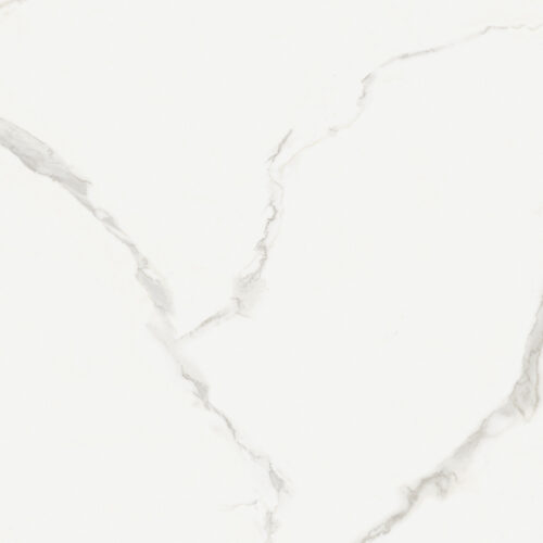 TGGP1004665001 ELEGANTE SKY SILVER SUGAR 60X60 B 72DPI