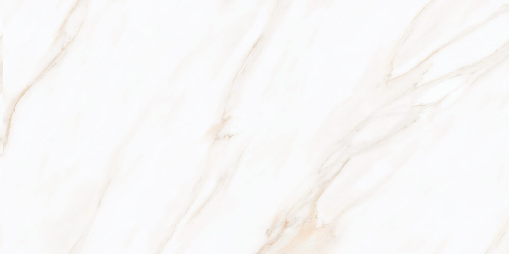 TGGP1005377928 LARIVE BEIGE POLISHED RECT 60X120 A 72DPI