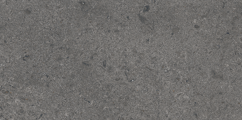 TGGR1027485938 LIV JURA LANDSCAPE BASALT MATT RECT 298X598 A 72DPI