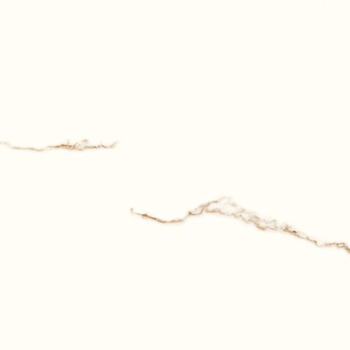 tggp1005007928 altiz white polished rect 60x120 b 72dpiqnuMpq2lq3GXrsaOZ6Q
