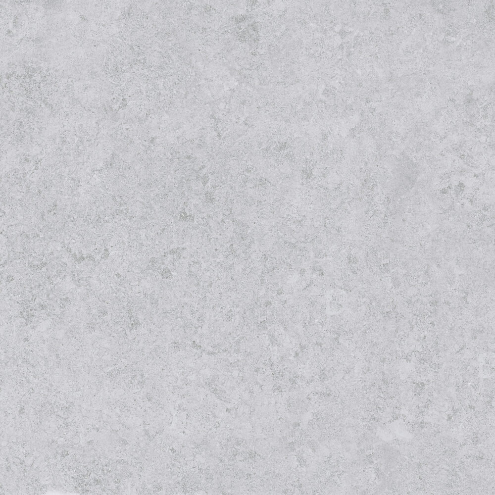 SASIRIO LIGHT GREY 60X60 T 1 scaled