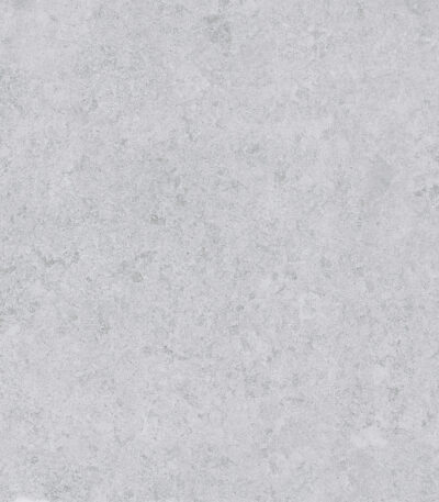SASIRIO LIGHT GREY 60X60 T 1 scaled