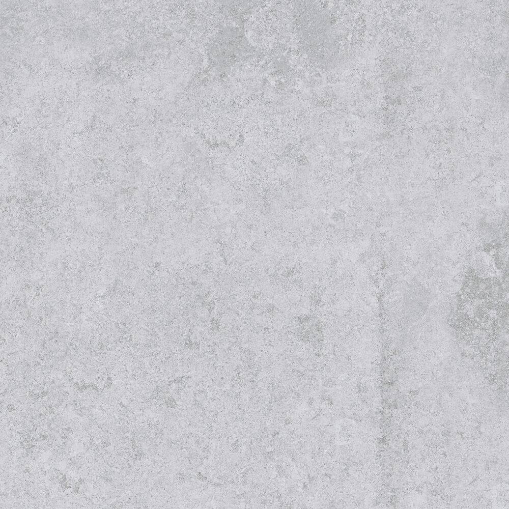 SASIRIO LIGHT GREY 60X60 T 2 scaled