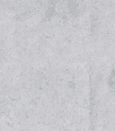 SASIRIO LIGHT GREY 60X60 T 2 scaled