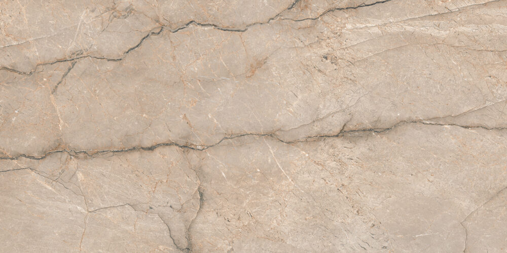 TGGP1004347928 PIOVE GREY POLISH RECT 60X120 A 72DPI
