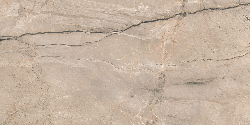 TGGP1004347928 PIOVE GREY POLISH RECT 60X120 B 72DPI