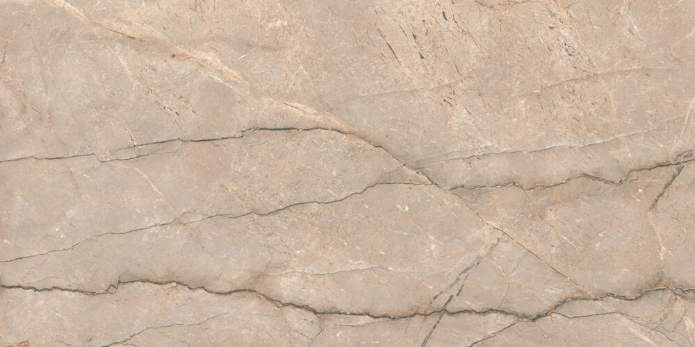 TGGP1004347928 PIOVE GREY POLISH RECT 60X120 C 72DPI