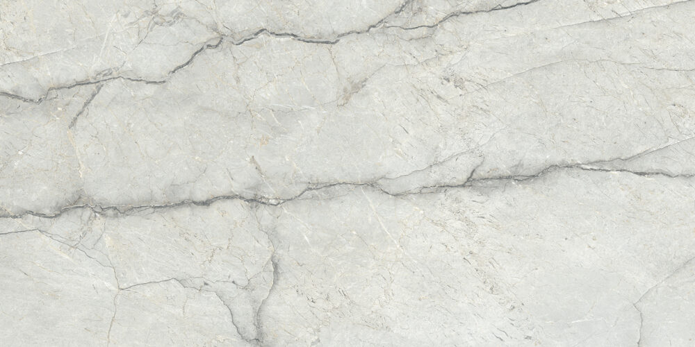 TGGP1004357928 PIOVE LIGHT GREY POLISH RECT 60X120 A 72DPI