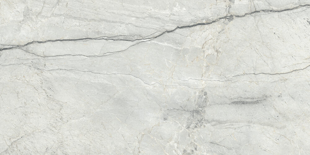 TGGP1004357928 PIOVE LIGHT GREY POLISH RECT 60X120 B 72DPI