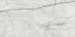 TGGP1004357928 PIOVE LIGHT GREY POLISH RECT 60X120 B 72DPI