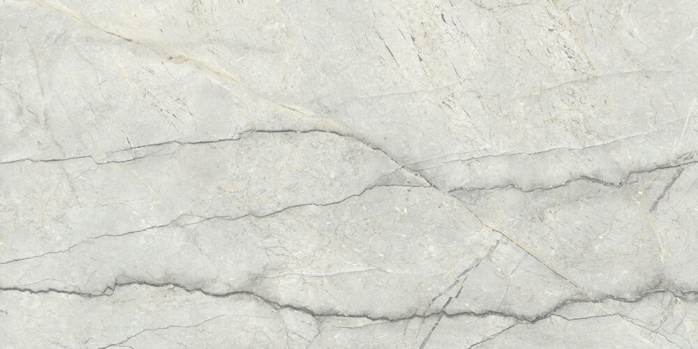 TGGP1004357928 PIOVE LIGHT GREY POLISH RECT 60X120 C 72DPI