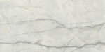 TGGP1004357928 PIOVE LIGHT GREY POLISH RECT 60X120 C 72DPI