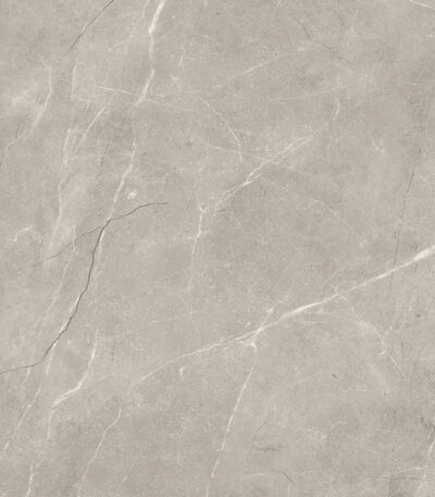 TGGP1004535001 VETICANO GREY POLISH RECT 60X60 J 72DPI