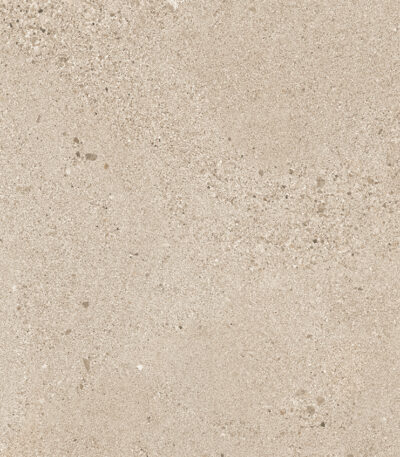 TGGR1020964937 SMALL TERRAZZO STONE MOCCA MATT RECT 598X598 A 72DPI